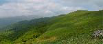 cisna_20080525_121343_330_ps.jpg