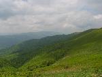 cisna_20080525_121404_332.jpg