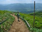 cisna_20080525_121527_333.jpg