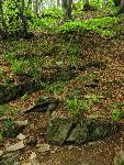 cisna_20080525_122526_334.jpg