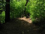 cisna_20080525_122704_336.jpg