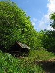 cisna_20080525_123628_341.jpg