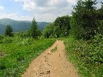cisna_20080525_130158_349.jpg