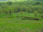cisna_20080525_132253_358.jpg