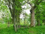 cisna_20080525_132507_360.jpg