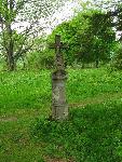 cisna_20080525_132548_362.jpg