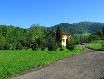cisna_20080526_063232_406.jpg