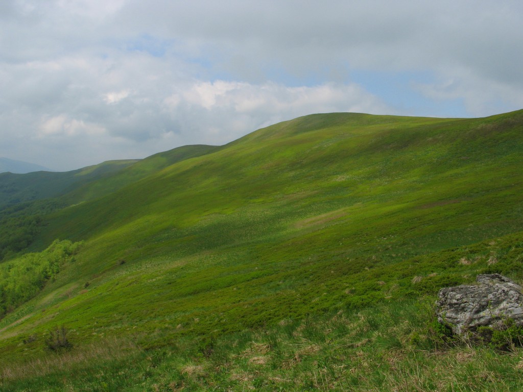 cisna_20080525_121343_330.jpg, galeria Bieszczady_2008