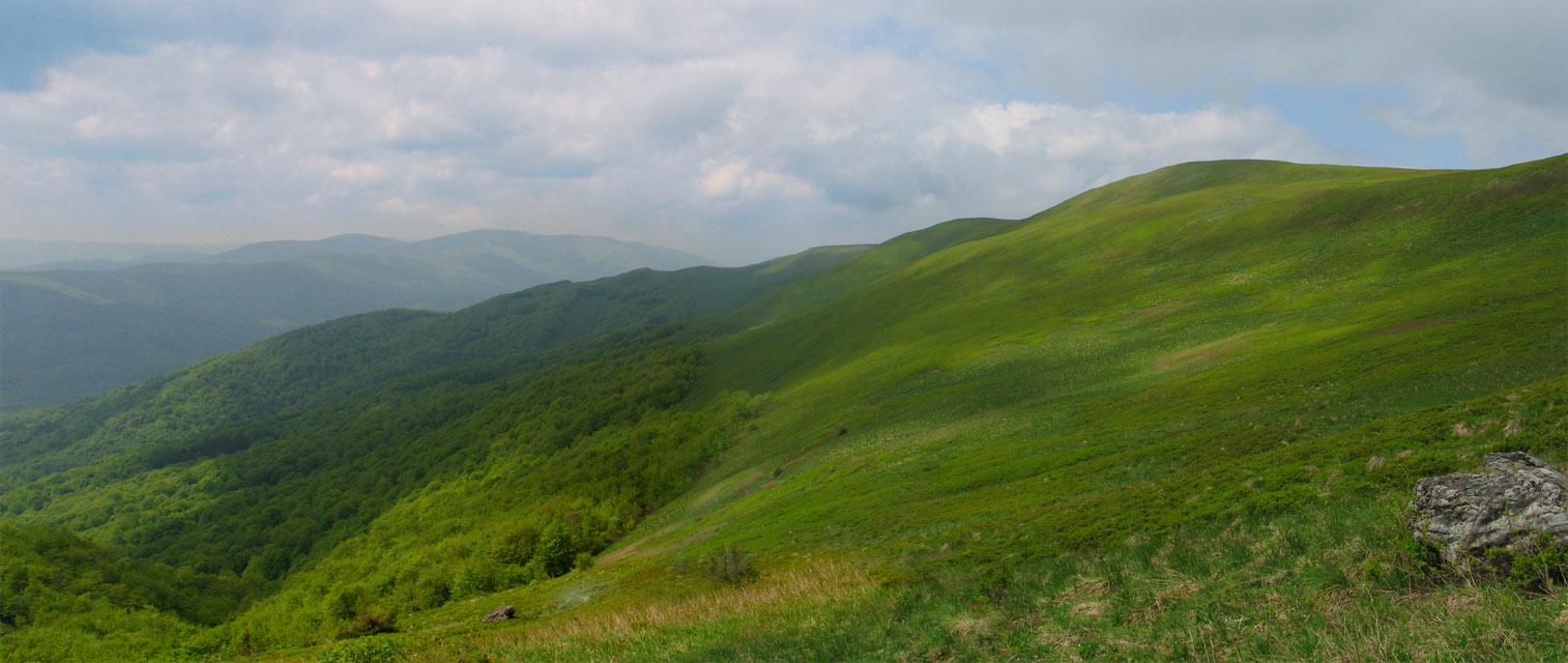 cisna_20080525_121343_330_ps.jpg, galeria Bieszczady_2008