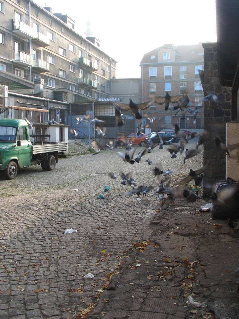 gdansk196.jpg, galeria Gdansk