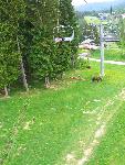 20070531_103216_021-harrachov.jpg