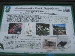 20070604_105432_576-kopa.jpg