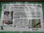 20070605_083352_575-szrenica.jpg