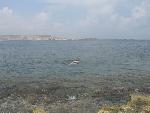 bugibba snorkeling.jpg