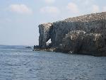 comino elephant.jpg