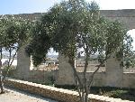gozo - aquadukt.jpg