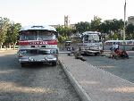 gozo buses.jpg