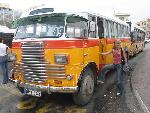 malta bus.jpg