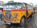 malta bus2.jpg