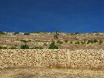 trip to selmun palace.jpg
