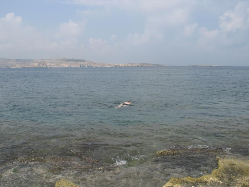 bugibba snorkeling.jpg, galeria Malta