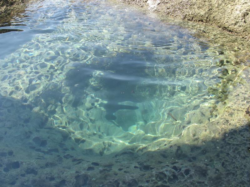 gozo - dwejra.jpg, galeria Malta