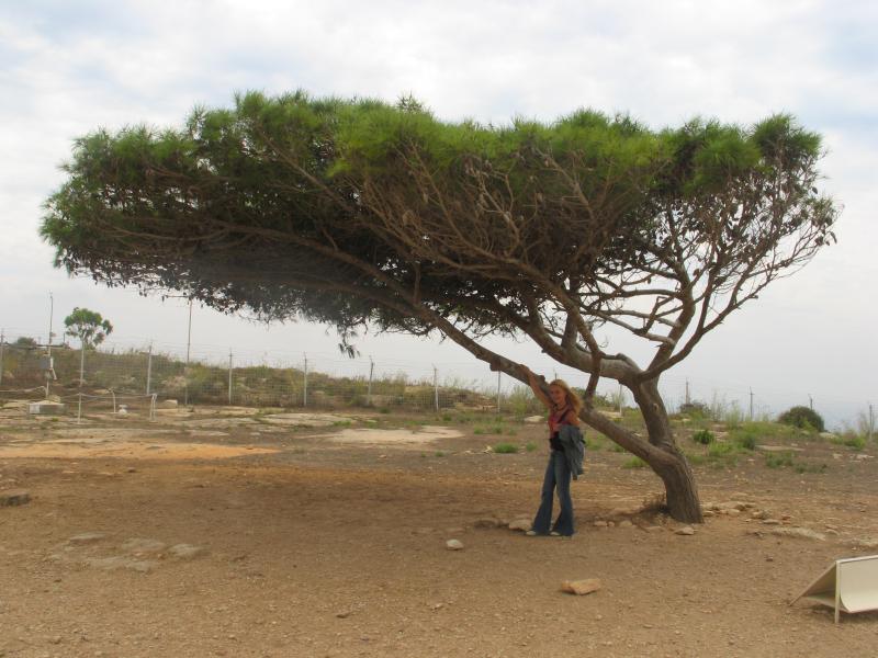 hagar qim temple21.jpg, galeria Malta