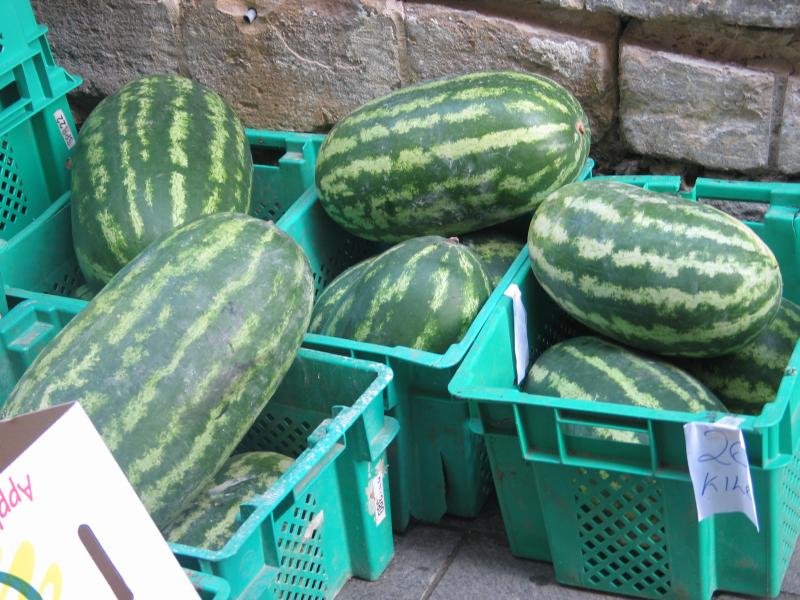 melons of malta.jpg, galeria Malta