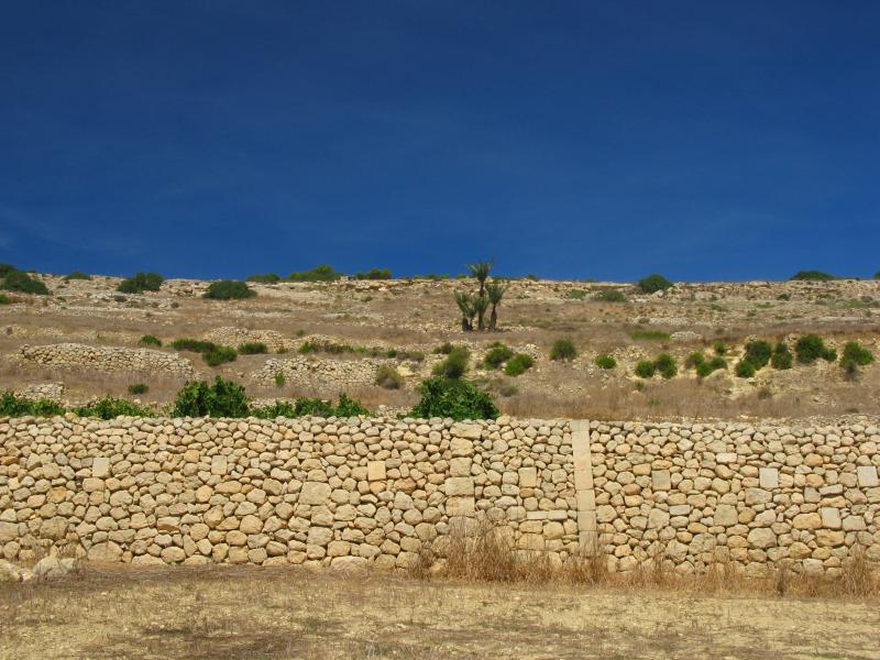 trip to selmun palace.jpg, galeria Malta