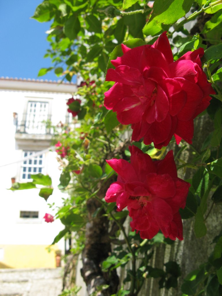 20080715113522_021.jpg, galeria Portugalia