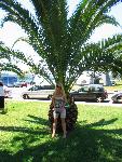 20080709135606_164.jpg