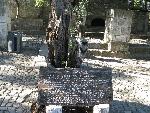 20080709181605_1005.jpg