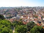 20080709182450_353.jpg