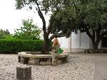 20080710094713_333.jpg