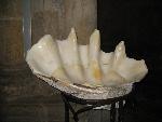 20080710143837-portugalia-coimbra.jpg