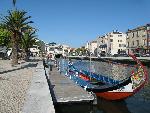 20080710181106_911.jpg