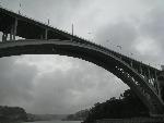 20080711104221_903.jpg