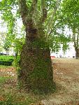 20080711105052_106.jpg