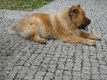 20080711143806_861.jpg