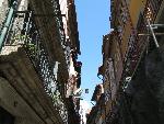 20080711154116_849.jpg