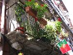 20080711154142_848.jpg
