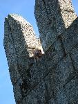 20080713101130_guimaraes.jpg