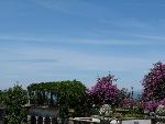 20080713125903_702.jpg