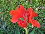 20080713132241_692.jpg