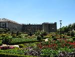 20080713152328_677.jpg