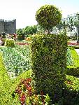20080713152408_075.jpg