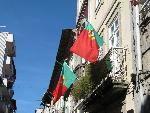 20080713174903_651.jpg