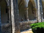 20080714133208_208.jpg