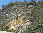 20080714151317_587.jpg