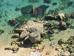 20080714163726_579.jpg